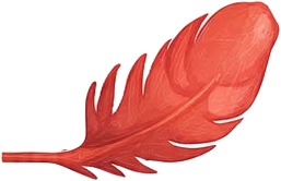 a red feather on a white background.jpg